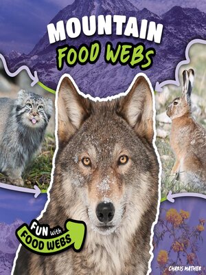 cover image of Mountain Food Webs